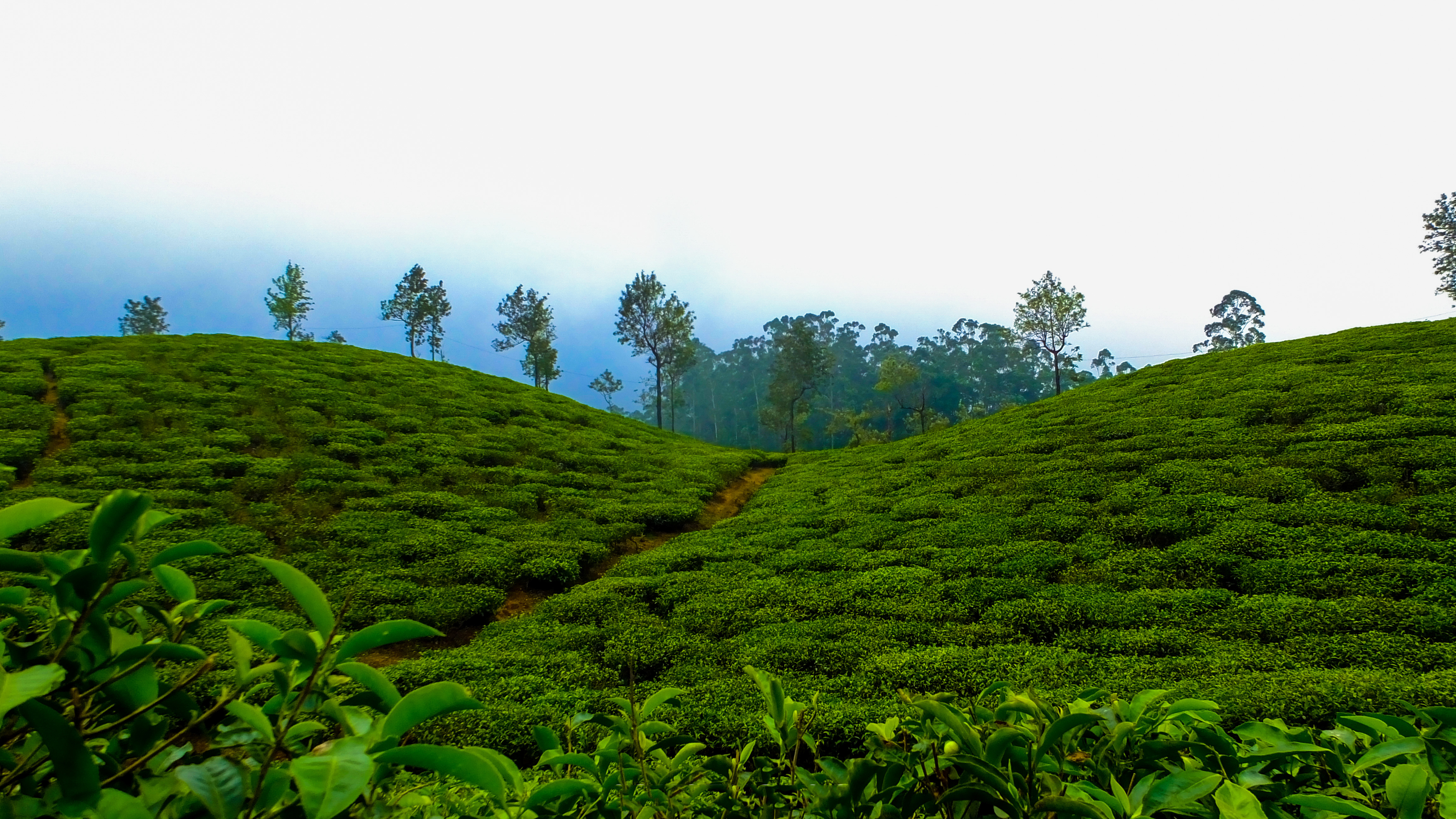 Coorg Weekend Escape Package