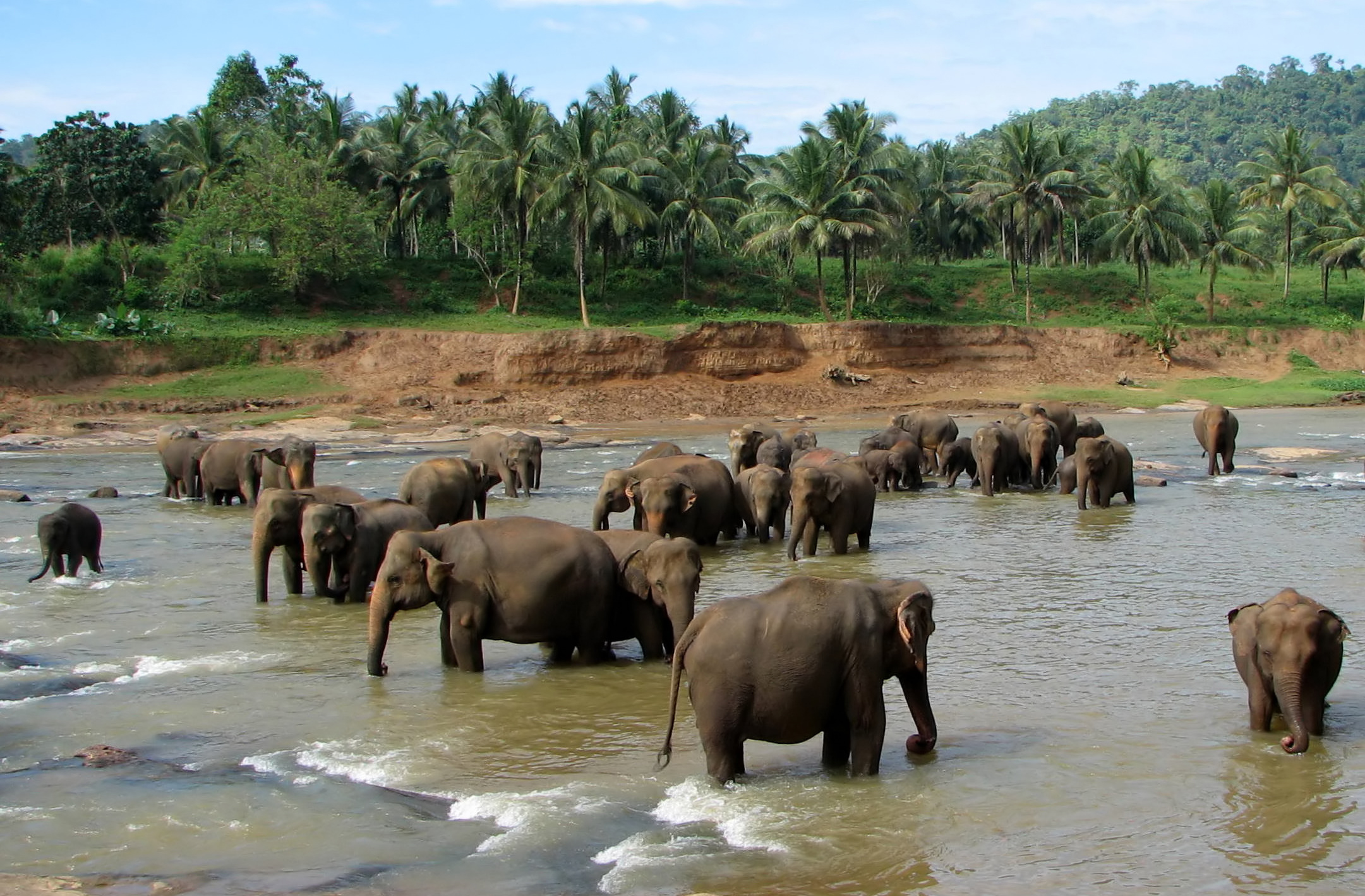 Coorg Weekend from Rajkot