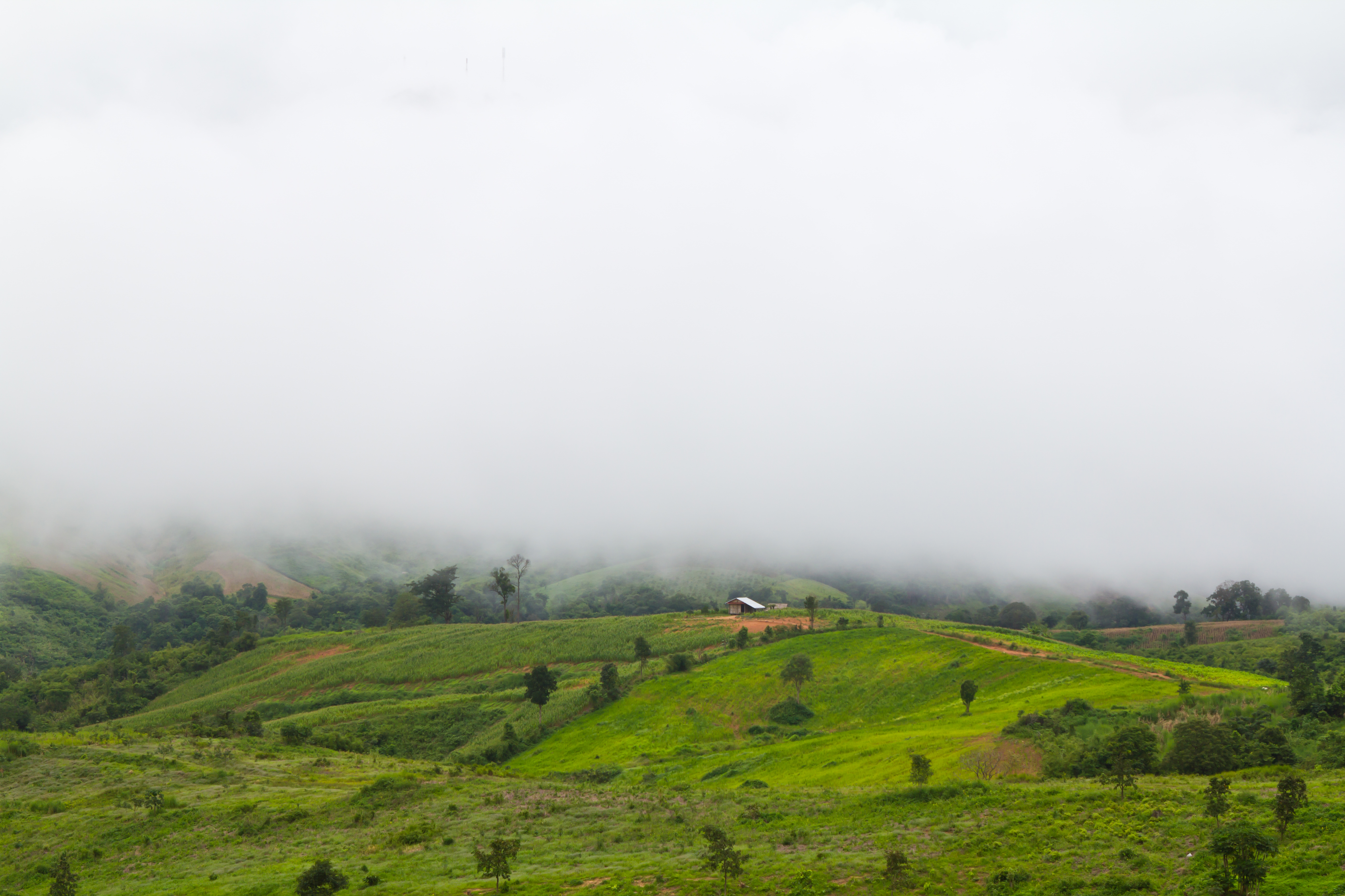 Coorg Family Adventure