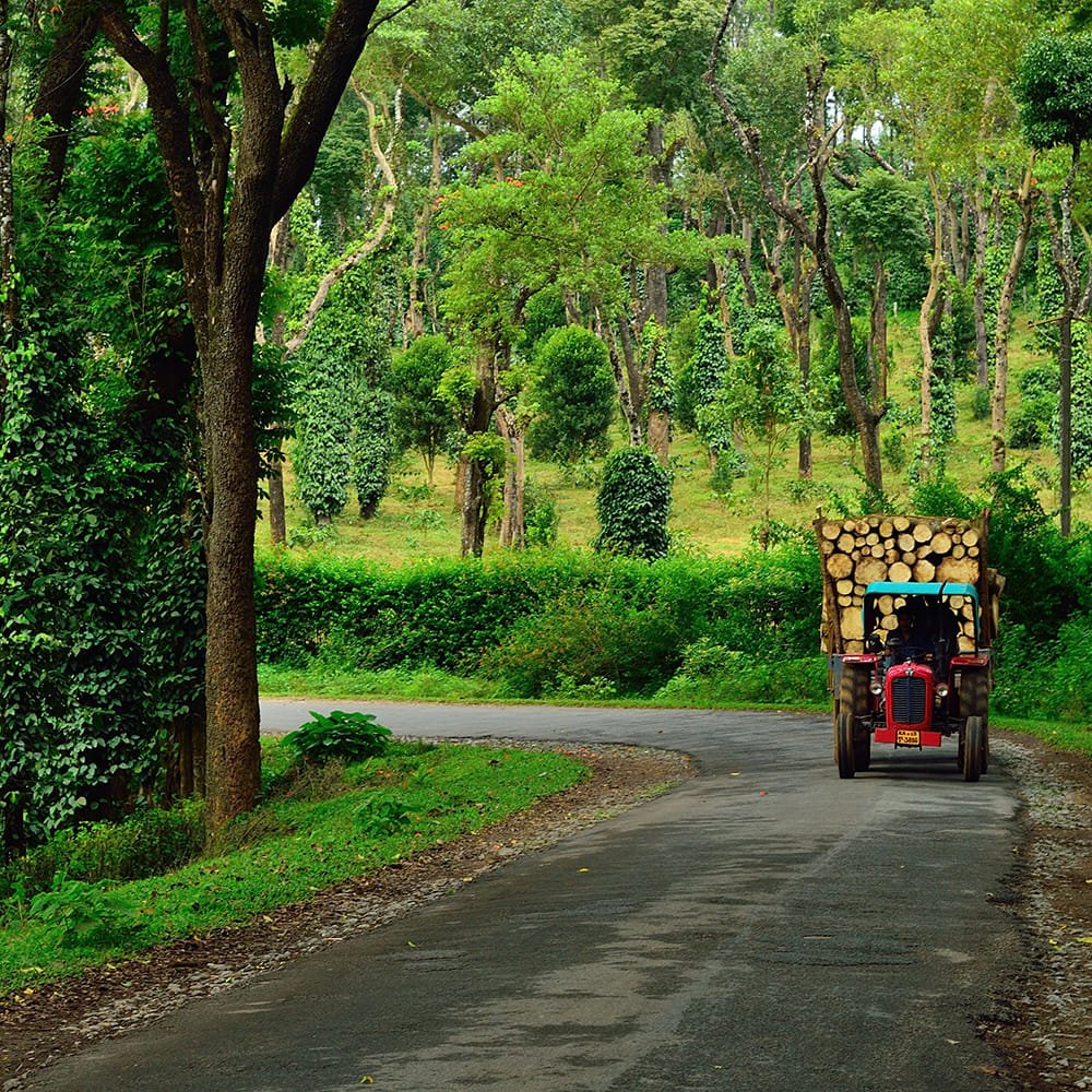 Coorg Ooty nature tour